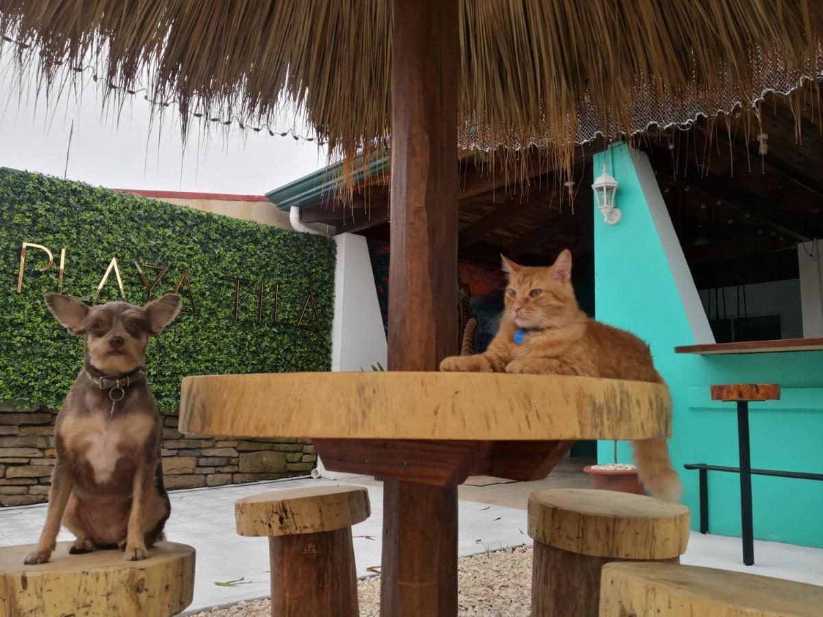Playa Tila Lodging & Restaurant Tilarán 외부 사진